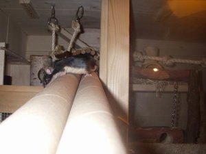 GrÃ¶ÃŸenÃ¤nderung IMGP1257.JPG