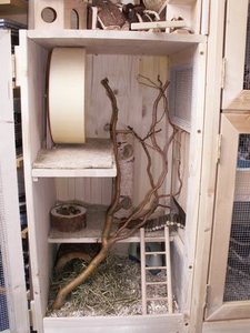 GrÃ¶ÃŸenÃ¤nderung Drehen von PICT2234.JPG