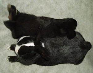 Josi + Freddy 11.JPG