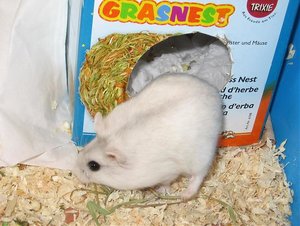 wo geh ich jetzt hin.jpg