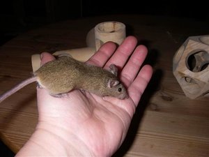 GrÃ¶ÃŸenÃ¤nderung IMGP0907.jpg