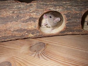 GrÃ¶ÃŸenÃ¤nderung IMGP0945.JPG