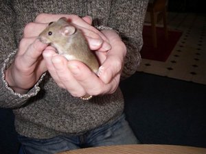 GrÃ¶ÃŸenÃ¤nderung IMGP0951.jpg