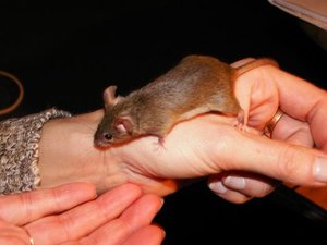 GrÃ¶ÃŸenÃ¤nderung PICT1499.JPG