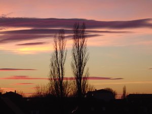 DSC01799.jpg DSC01799.jpg