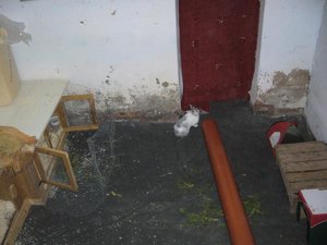 neues gehege der nager 007.jpg