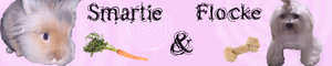 Banner smartie und flocke.jpg Banner smartie und flocke.jpg