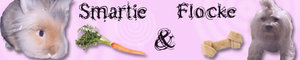 Banner smartie und flocke.jpg Banner smartie und flocke.jpg
