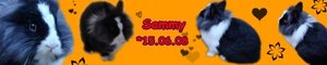 Sammy_Banner.jpg