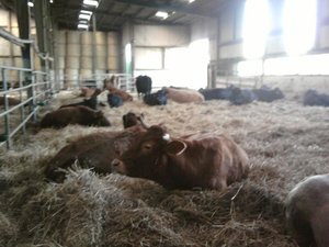 Foto013.jpg Foto013.jpg