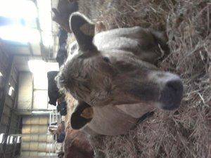 Foto012.jpg Foto012.jpg