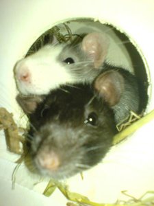 DSC03817.jpg DSC03817.jpg