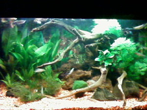 Handy-Bilder 009.jpg