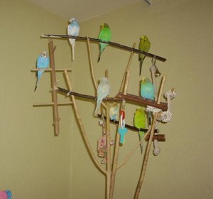 KrÃ¼melmonster 046.jpg