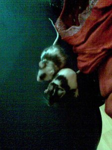 Bild081.jpg Bild081.jpg