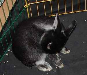 Timmy & Prinzessin (25).jpg