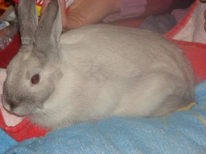 Timmy & Prinzessin (21).jpg