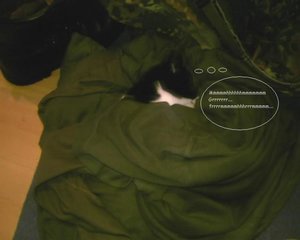 Joy in HÃ¶hle2.jpg