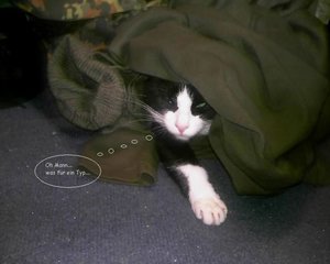 Joy in HÃ¶hle3.jpg