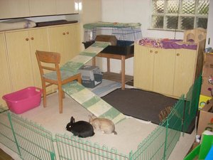 neues gehege (5).jpg