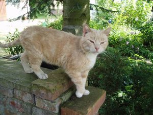 Tierbilder Titus.jpg