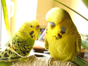 C&K, Votti & LeaÂ´s Chiller-Abend =) 332.jpg