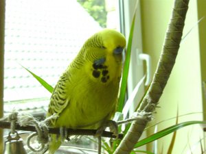 C&K, Votti & LeaÂ´s Chiller-Abend =) 315.jpg