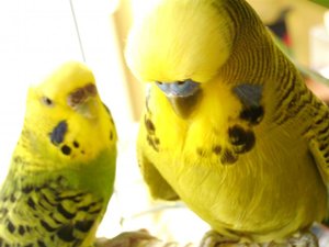 C&K, Votti & LeaÂ´s Chiller-Abend =) 335.jpg