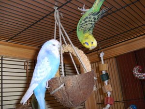 Silvester 08, VÃ¶gel+ Mick Votti im Schnee =) 022.jpg