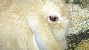 DSC_2417 (640x360).jpg