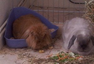 2013-06-23 15.05.52.jpg