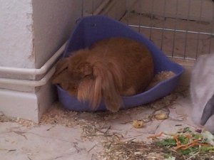 2013-06-23 15.11.40.jpg