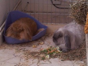 2013-06-23 15.14.53.jpg