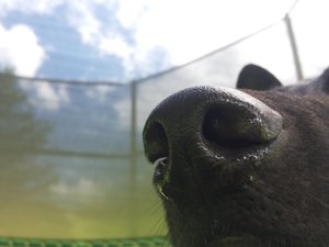 attachment-1.jpeg attachment-1.jpeg