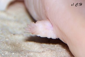 IMG_9687bkc.JPG IMG_9687bkc.JPG