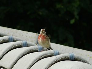 DSCI1903 (2)_Drucken.JPG