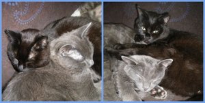 kooa-1b-d9d4.jpg kooa-1b-d9d4.jpg