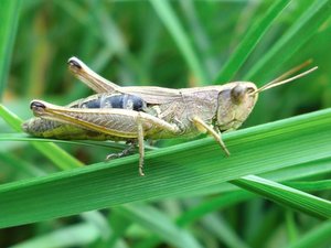 CIMG1595.JPG CIMG1595.JPG