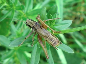 CIMG1702.JPG CIMG1702.JPG