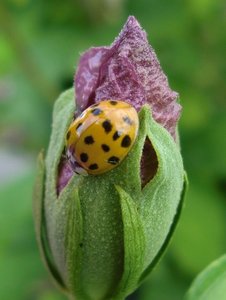 CIMG1659.JPG CIMG1659.JPG