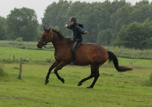 Blume ohne Sattel.jpg