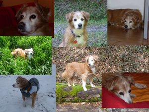 Giotto.jpg Giotto.jpg