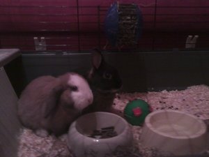 Foto0055.jpg Foto0055.jpg