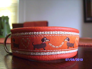 SANY2281.JPG SANY2281.JPG