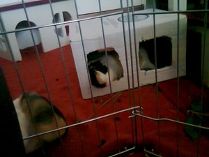 Foto0139 (640x480).jpg