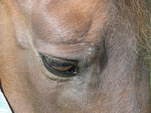 DSC08980_Bildgröße ändern.JPG