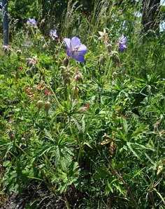 DSC03910.JPG DSC03910.JPG