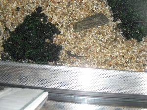 CIMG1230 (640x480).jpg