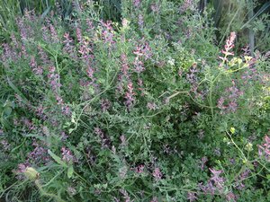 DSC04021.JPG DSC04021.JPG