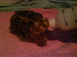 DSC03694.JPG DSC03694.JPG